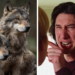 From meme to animal control: The USDA is apparently utilizing the fight scene in "Marriage Story" to train wolves to avoid humans
