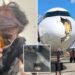 Bird strike forces emergency landing of Iberia plane after sparking panic among passengers