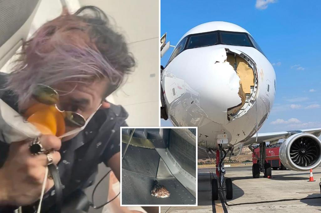 Bird strike forces emergency landing of Iberia plane after sparking panic among passengers