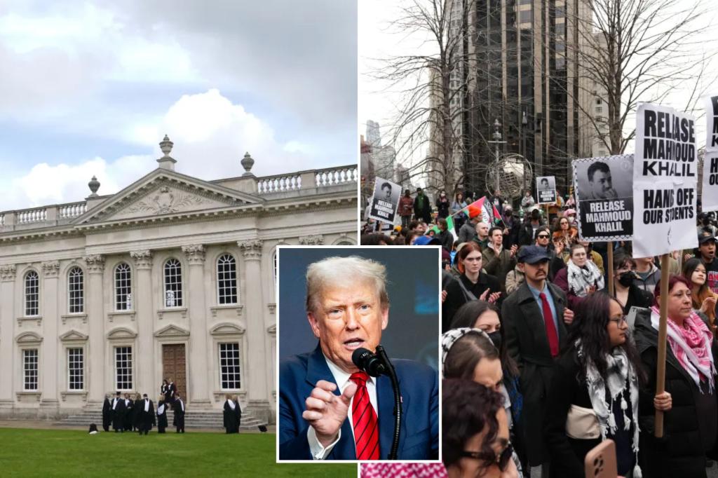 College applications rise outside US as Trump cracks down on international students