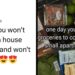 Gen Z is romanticizing just being able to afford rent and groceries