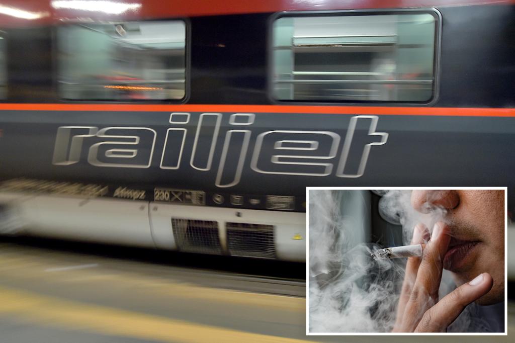 Man survives death-defying cling to 130 mph train during smoke break-gone-wrong