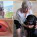 Elderly blind woman regains sight thanks to rare surgery that implants tooth into eye socket