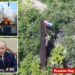 Moscow troops make massive advance in Ukraine just days before Trump set to meet with Putin