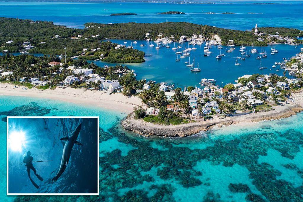 US tourist attacked by shark, severely injured while spearfishing in the Bahamas