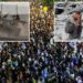 More Palestinians are calling for Hamas to leave power — and the terror group is responding with horrific violence