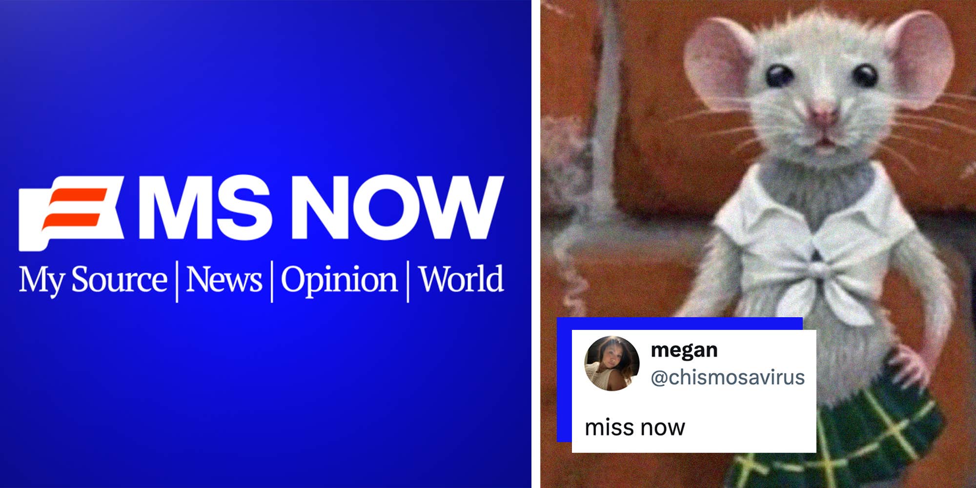 MSNBC is officially changing its name to MS Now, and the internet reacted as you'd expect: with memes and conspiracy theories