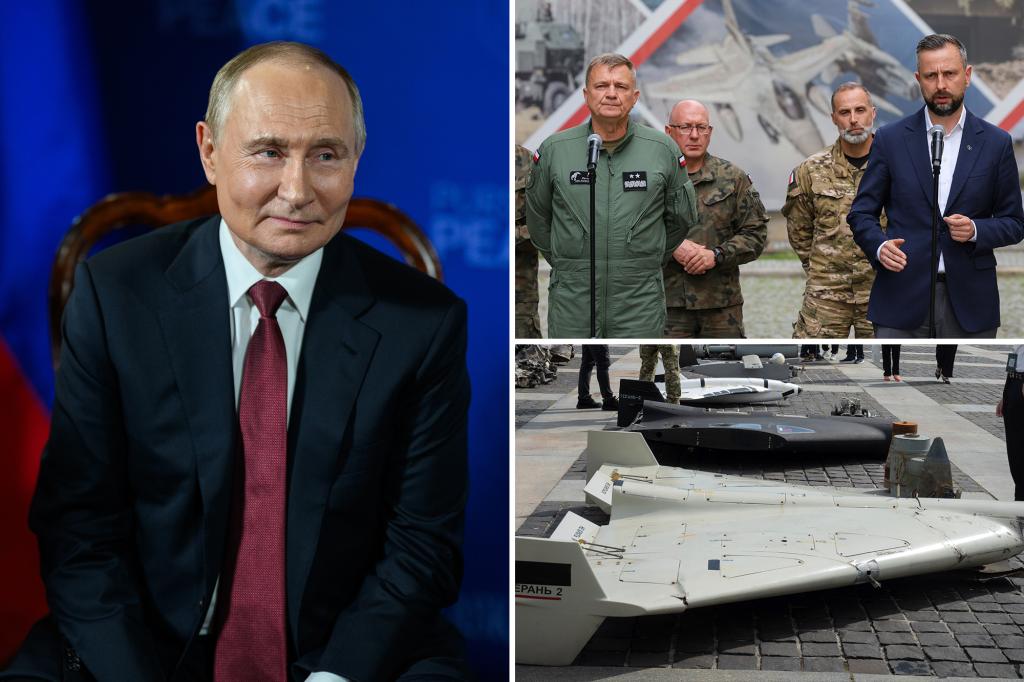 Russian drone crashes into field in latest ‘provocation’ from Kremlin, Poland says