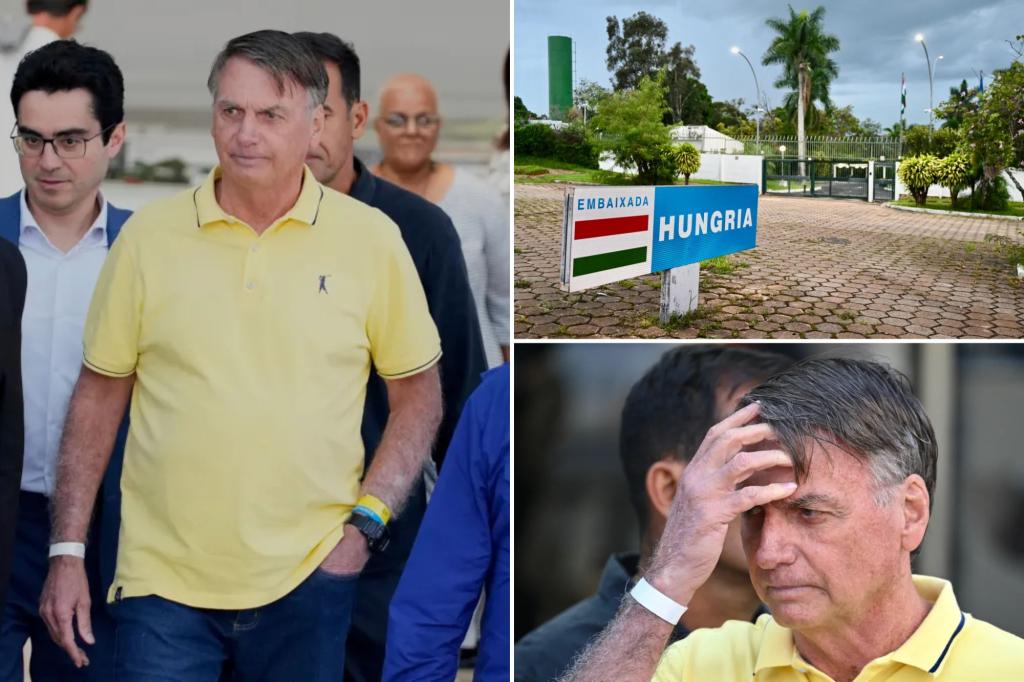 Former Brazilian President Bolsonaro was planning on fleeing to Argentina to seek asylum: police