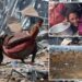 Israeli stats show civilian death rate in Gaza war is 83%, report claims — as government denies data