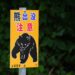 Japan ‘bear attack’ victim, 93, was actually murdered, son arrested in shocking twist