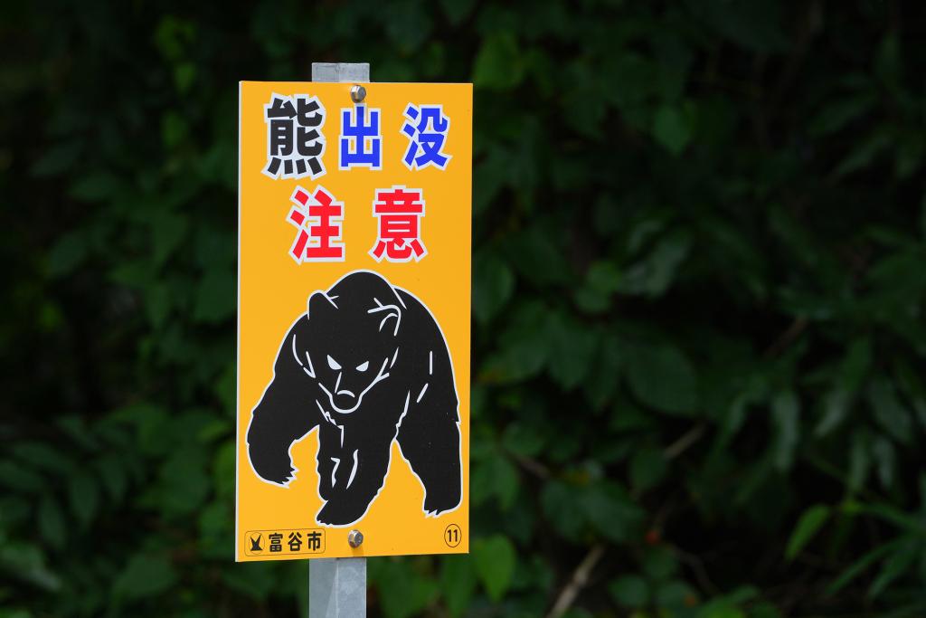 Japan ‘bear attack’ victim, 93, was actually murdered, son arrested in shocking twist