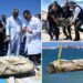 Good as gold! Trove of 2,000-year-old treasure pulled from underwater city off coast of Egypt