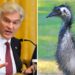 Dr. Oz urges Canada to toss aside court ruling to save the ostriches: ‘Maybe they’ve got secrets’
