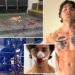 American tourist stabbed while defending women on German tram slams Europe’s ‘immigration problem’ after one of the suspects is freed