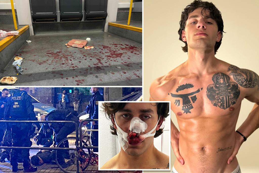 American tourist stabbed while defending women on German tram slams Europe’s ‘immigration problem’ after one of the suspects is freed