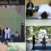 Young men charged with hugging and kissing publicly caned by Indonesian Islamic court