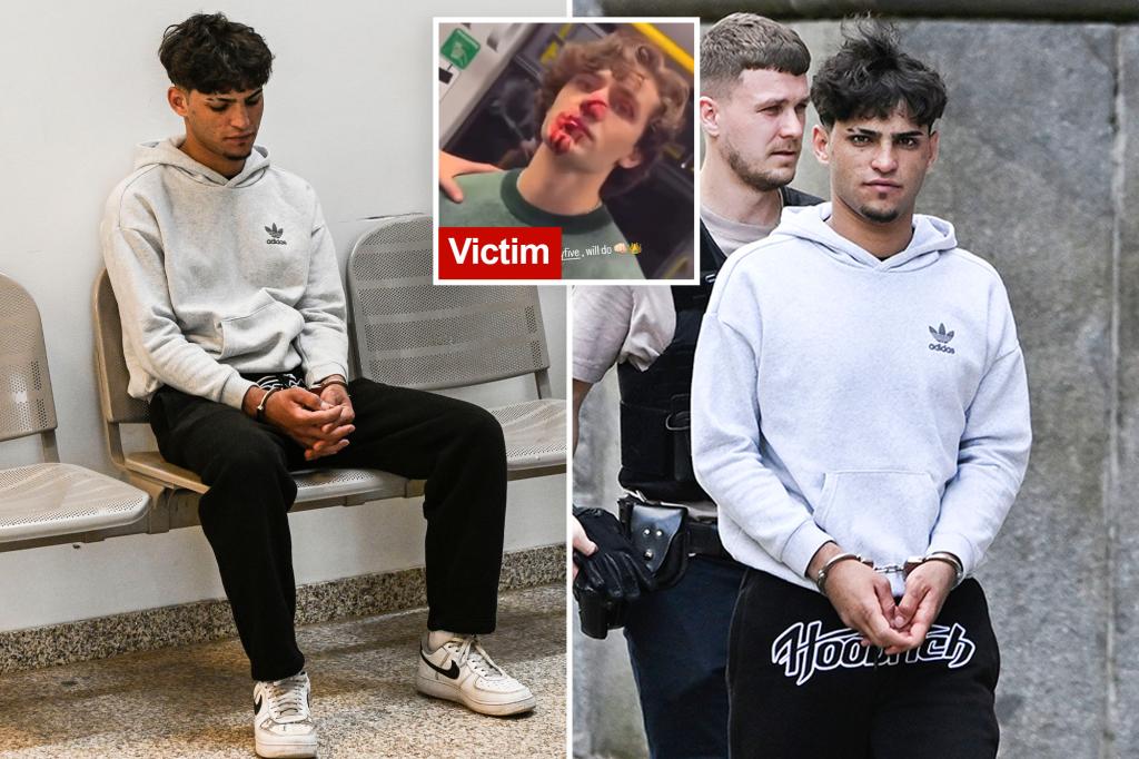 Syrian migrant smirks after arrest for brutal attack on American model John Rudat