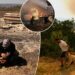 Climate change made deadly wildfires in Turkey, Greece and Cyprus more fierce, study finds