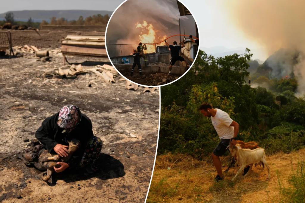 Climate change made deadly wildfires in Turkey, Greece and Cyprus more fierce, study finds