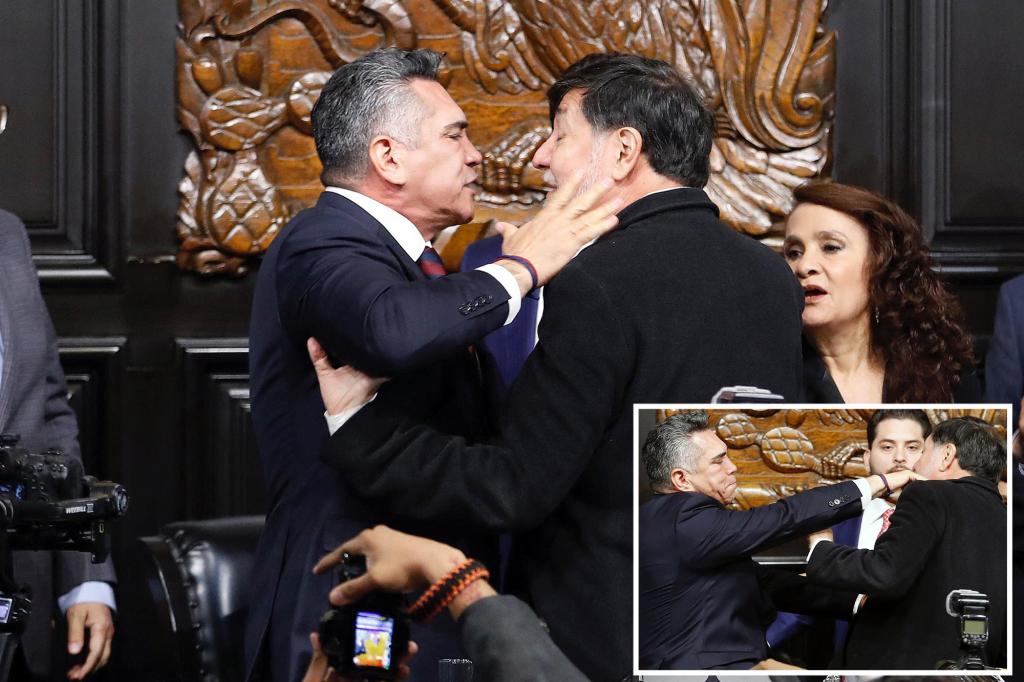 Wild brawl erupts between  Mexican politicians over US military intervention against drug cartels