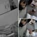 Graphic video shows Israeli father throw himself on grenade to save sons during Hamas’ Oct. 7 attack