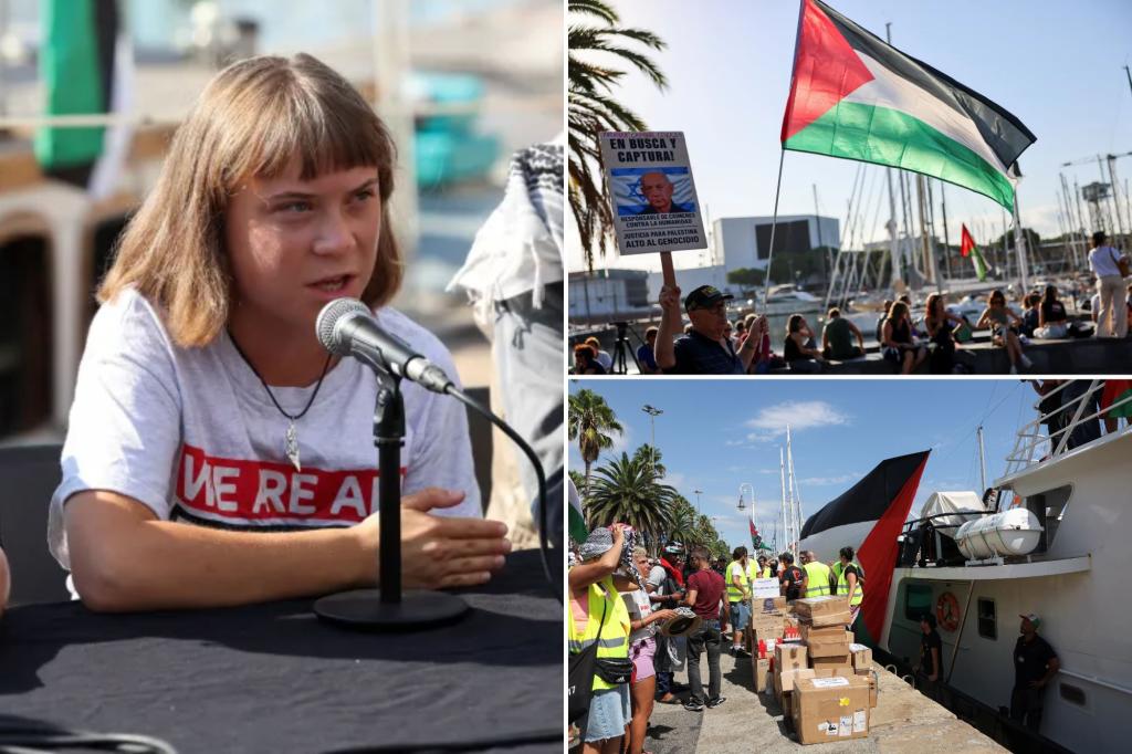 Greta Thunberg joins fleet to bring aid to Gaza, hopes to break Israel’s naval blockade