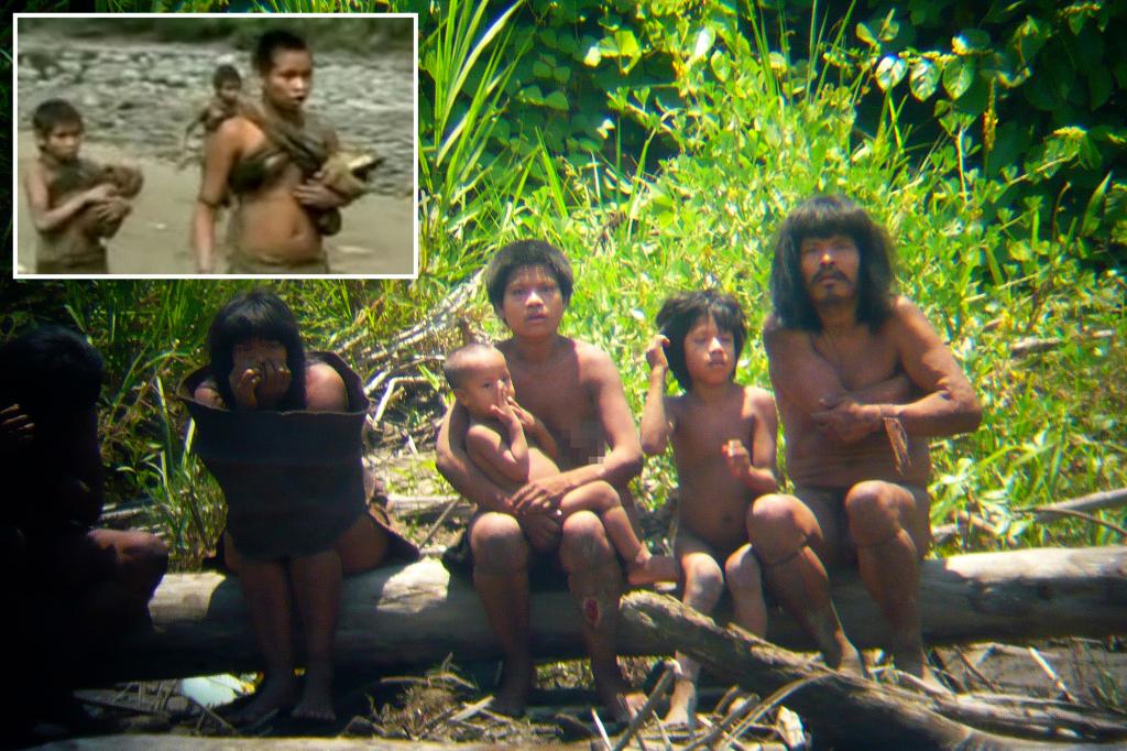 One of world’s largest uncontacted tribes now encountering outsiders: ‘They are in danger’