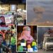 Israel begins heavy airstrikes ahead of Gaza City onslaught, warns Hamas fighters abroad that attacks ‘will reach them, too’
