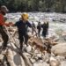FEMA tells staff to work for ICE or risk getting fired