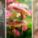 "His eye is perfect": Pet owner claims mushrooms cured her dog’s cataracts