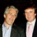 Hot Mic Catches Republican Saying Trump Is in the Epstein Files