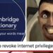 "Humanity is doomed": Cambridge Dictionary adds 6,000 new words including "skibidi," and the takes are unhinged
