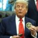 The Staggering Amount Trump Is Profiting From the Presidency Revealed