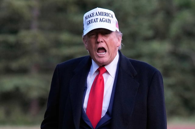 Trump promised to drain the swamp. Now the Epstein filth swim free