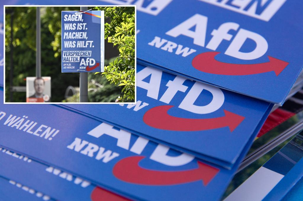 Six candidates from Germany’s rightwing AfD party die days apart in lead up to local elections: reports
