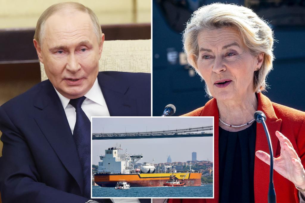 US wants Europe to stop buying Russian oil, join proposed sanctions: WH official