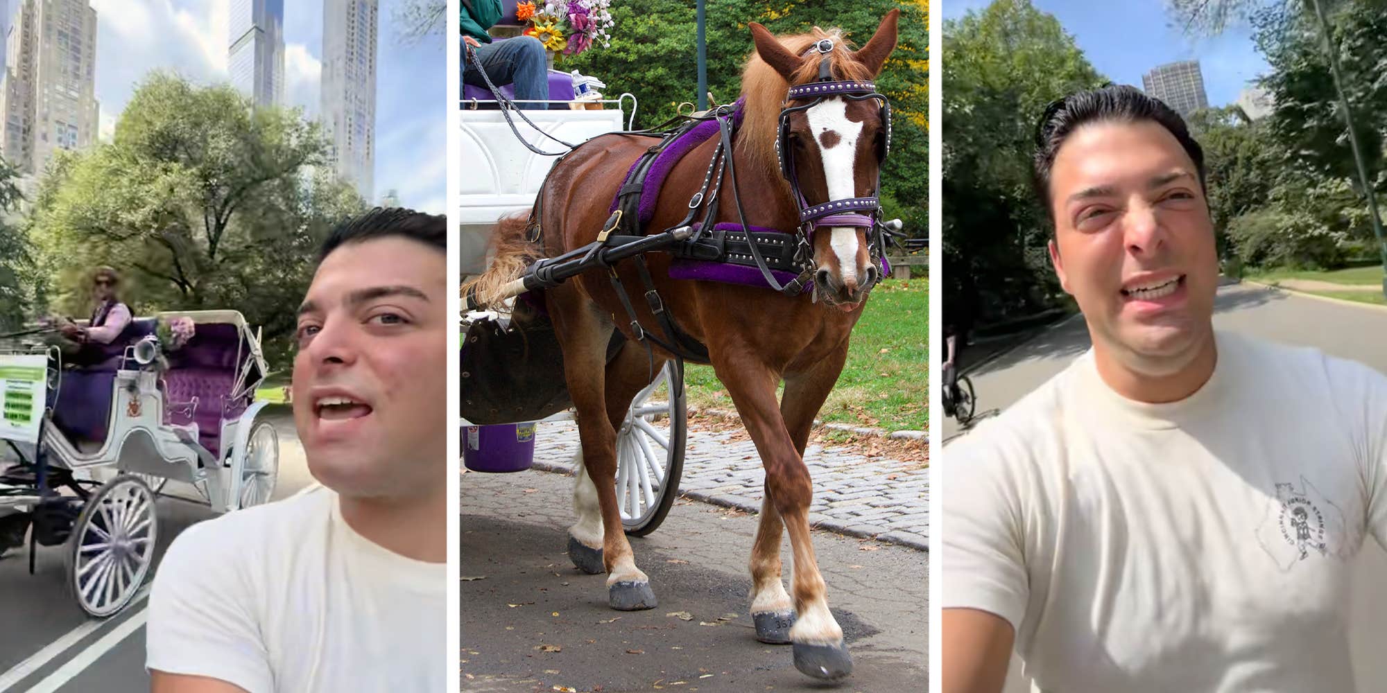 Influencer's battle against horse-drawn carriages in Central Park gets a win