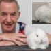 Magician slapped with $579 fee from city for using bunny in act — and he can’t make bill disappear