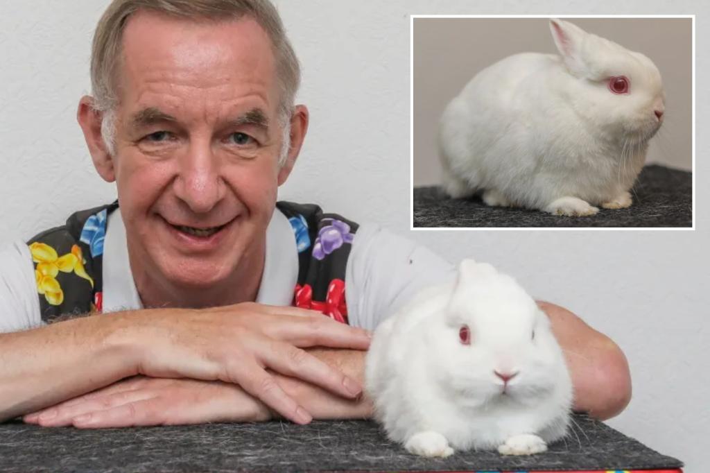 Magician slapped with $579 fee from city for using bunny in act — and he can’t make bill disappear