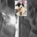 Hero dog extinguishes lit stick of dynamite tossed into journalist’s yard: ‘Saved our lives’