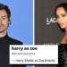 A prophetic fan account on Twitter predicted Harry Styles and Zoe Kravitz dating in 2017