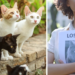 Tales Of The "Japanese Missing Cat Method" Spread On TikTok After Comedian's Missing Pet Returns