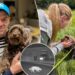 Missing dog lured back to owner with bacon trail in heartwarming scene