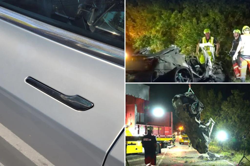 Tesla driver and two kids burned alive because rescuers can’t open electronic doors: reports
