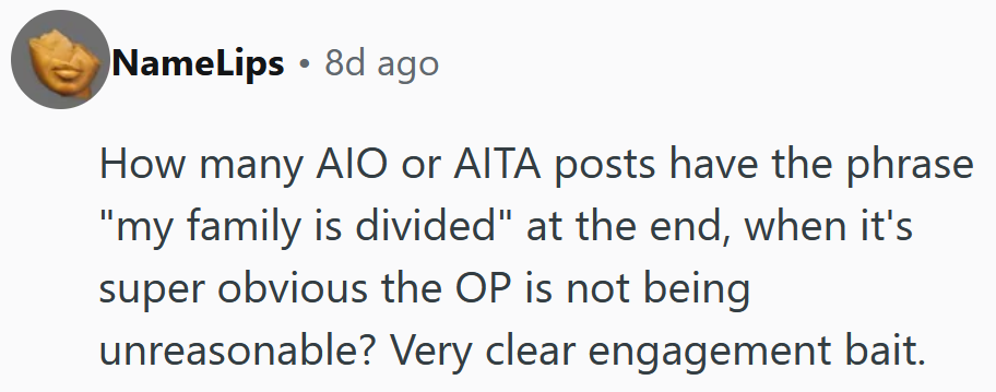 Reddit comment reading 'How many AIO or AITA posts have the phrase 'my family is divided' at the end, when it's super obvious the OP is not being unreasonable? Very clear engagement bait.'