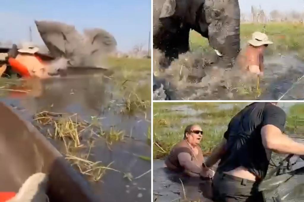 Elephant charges at tourists, shoves floundering woman underwater after party drifts too close to its calves: video
