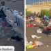 "Come on, man": Mourners at Charlie Kirk memorial leave streets covered in trash