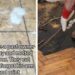 "He melted into the floor": Realtor pulls up old carpet while renovating. Then she shows the stain left behind
