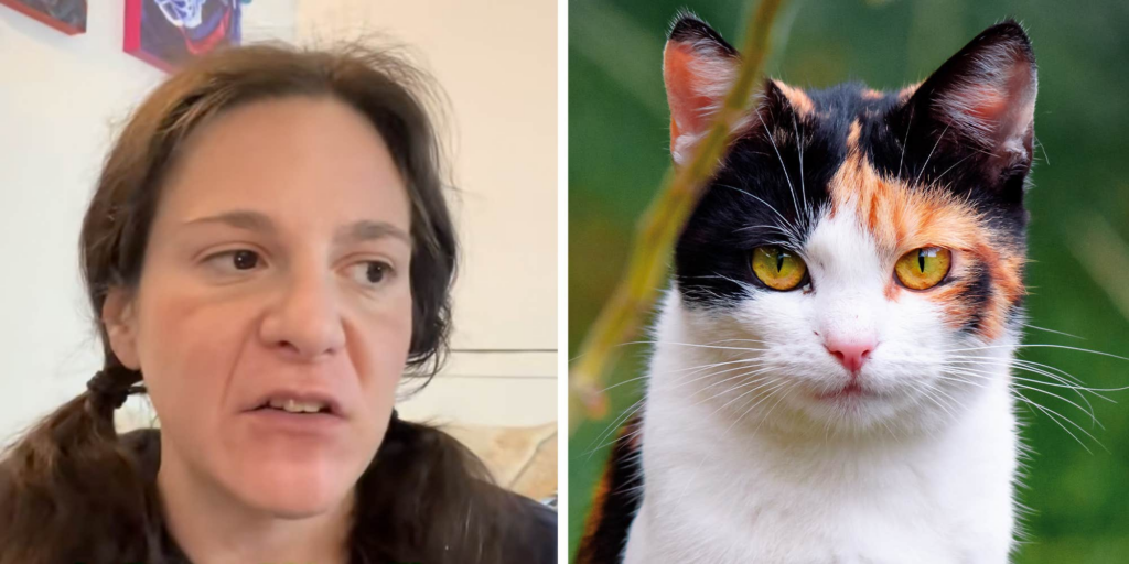 "It didn’t feel good talking to her": Animal communicator shares story of speaking to a "demonic" cat. It's not quite that simple